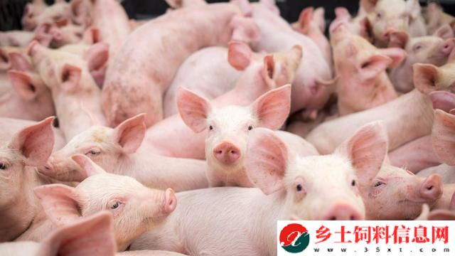 河北：三式管理法精准防控非洲猪瘟见实效！